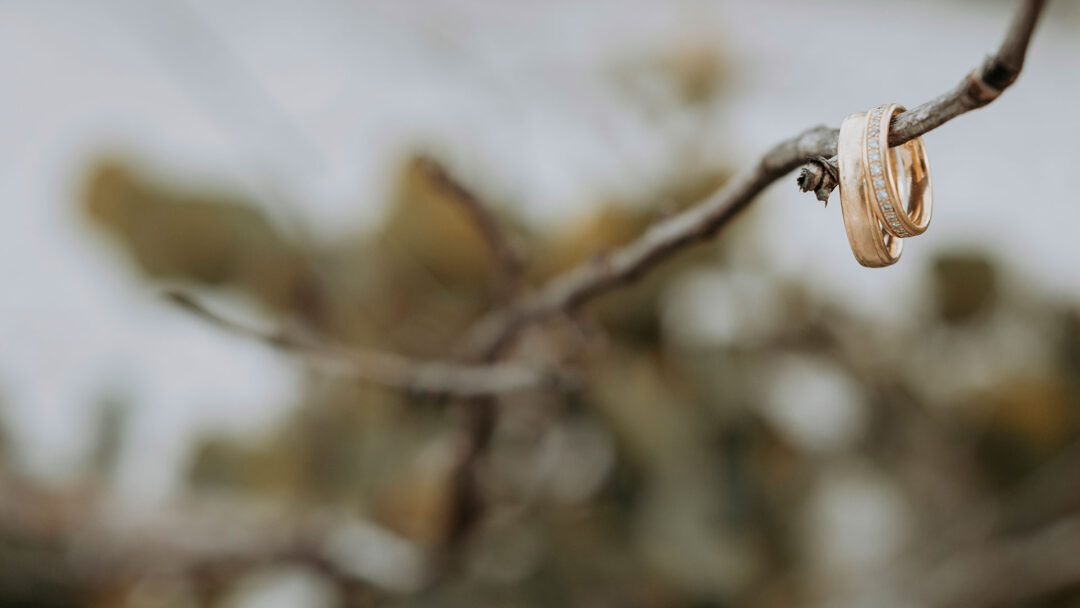 Florida marriage License by mail photo showing wedding bands on a twig.